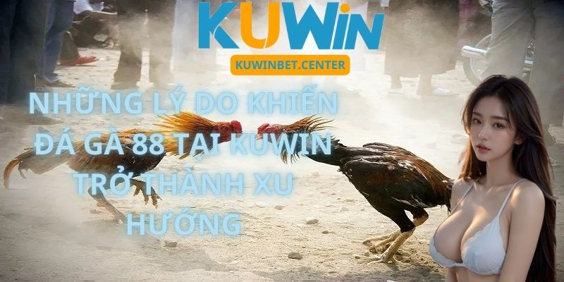 Những lý do khiến Đá Gà 88 tại Kuwin trở thành xu hướng