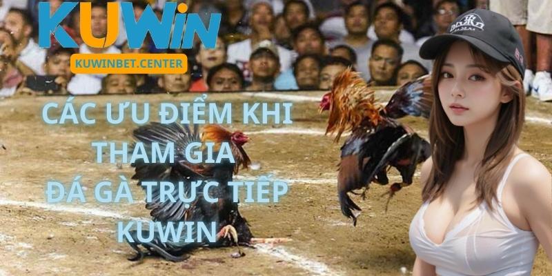 Các Ưu Điểm Khi Tham Gia Đá Gà Trực Tiếp Kuwin