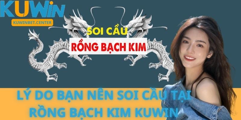 Lý Do Bạn Nên Soi Cầu Tại Rồng Bạch Kim Kuwin