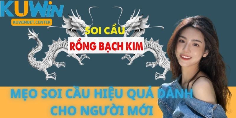 Mẹo Soi Cầu Hiệu Quả Dành Cho Người Mới